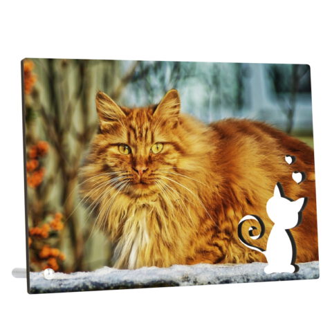 Echtholz Fotoaufsteller Katze 13 x 18 cm Queerformat